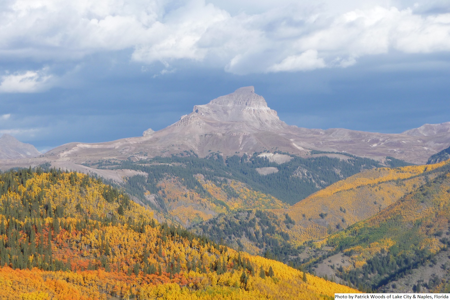 P1020177 Hall Realty Inc.