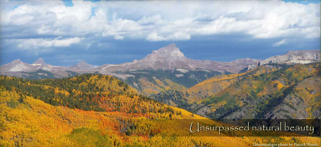 Lake City Real Estate Lake City Real Estate for Sale Lake City Land