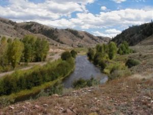 Cebolla Creek Fishing Cabin Vacation Rental